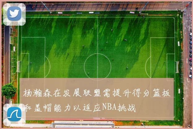 杨瀚森在发展联盟需提升得分篮板和盖帽能力以适应NBA挑战